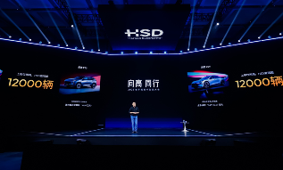 晓莺说 | 2025：中国汽车产业的结构换挡(图7)