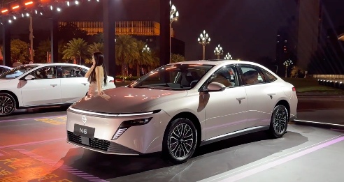 谁提前锁定2025年插混销量TOP10？｜看见2025(图6)