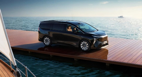 谁提前锁定2025年插混销量TOP10？｜看见2025(图7)