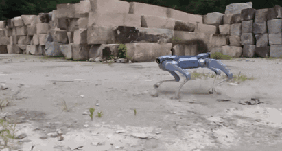 机器人“仿人”狂飙：技术必然，还是产业歧途？(图7)