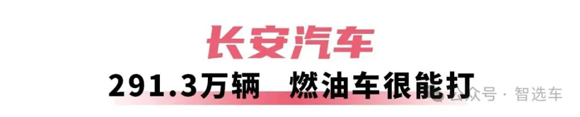 2025年车企销量盘点，比亚迪无敌，吉利有潜力，奇瑞赚外币？(图7)