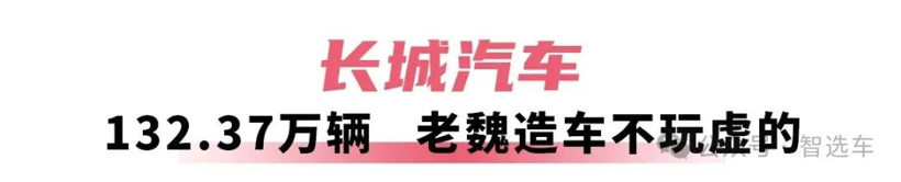 2025年车企销量盘点，比亚迪无敌，吉利有潜力，奇瑞赚外币？(图11)