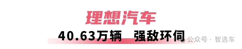 2025年车企销量盘点，比亚迪无敌，吉利有潜力，奇瑞赚外币？(图21)