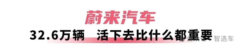 2025年车企销量盘点，比亚迪无敌，吉利有潜力，奇瑞赚外币？(图23)