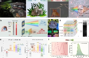 【全球汽车新技术观察】12月上期〡马瑞利推出Affordable 5G RedCap技术 用于车辆远程信息处理；英伟达发布自动驾驶开源AI模型Alpamayo-R1；受蛋清启发，KIMS开发高性能散热复合材料(图7)