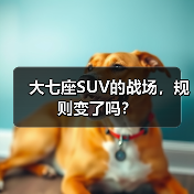 大七座SUV的战场，规则变了吗？(图1)