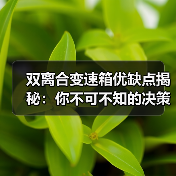 双离合变速箱优缺点揭秘：你不可不知的决策指南(图3)