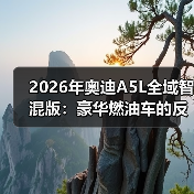 2026年奥迪A5L全域智混版：豪华燃油车的反常识拐点(图2)