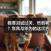 极寒测试过关，然后呢？东风与华为的这次合作不简单(图2)