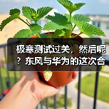 极寒测试过关，然后呢？东风与华为的这次合作不简单 - 智穹界新车资讯站