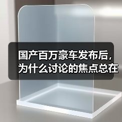 国产百万豪车发布后，为什么讨论的焦点总在别处？(图4)