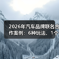 2026年汽车品牌联名合作案例：6种玩法、1个真故事与可复用的增长公式(图4)