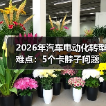 2026年汽车电动化转型难点：5个卡脖子问题与破局路线图(图2)