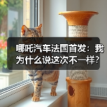哪吒汽车法国首发：我为什么说这次不一样？(图4)