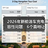 2026年新能源车充电兼容性问题：6个真相让你少跑三趟充电站(图3)
