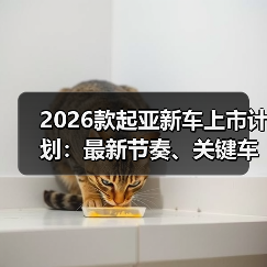 2026款起亚新车上市计划：最新节奏、关键车型与下单避坑指南(图4)