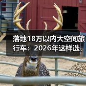 落地18万以内大空间旅行车：2026年这样选，空间和预算都不将就(图4)
