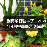 别再单打独斗了！2026年4月中西部充电站建设运营生态大会举行，我看到了拐点(图2)