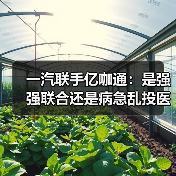 一汽联手亿咖通：是强强联合还是病急乱投医？(图4)