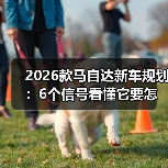 2026款马自达新车规划:6个信号看懂它要怎么“逆着来”(图3) 2026款马自达新车规划:6个信号看懂它要怎么“逆着来”(图3)