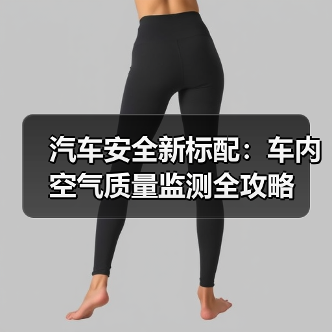 汽车安全新标配:车内空气质量监测全攻略(图3) 汽车安全新标配:车内空气质量监测全攻略(图3)