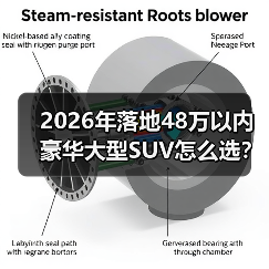 2026年落地48万以内豪华大型SUV怎么选？我用一次“全家出行翻车”换来的答案(图4)