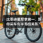 比亚迪星愿拿第一，跟你买车有半毛钱关系？