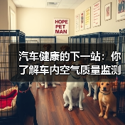 汽车健康的下一站：你了解车内空气质量监测吗？(图3)
