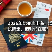 2026年比亚迪出海：增长确定，但利润在哪？(图3)