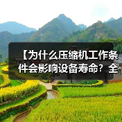 【为什么压缩机工作条件会影响设备寿命？全