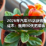 2026年汽车4S店获客成本：我用90天把单客成本从980元压到420元(图2)