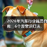 2026年汽车行业裁员自救：6个反常识打