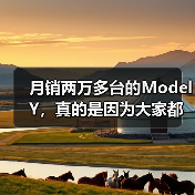 月销两万多台的Model Y，真的是因为
