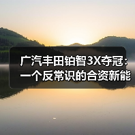 广汽丰田铂智3X夺冠：一个反常识的合资新能源样本(图4)