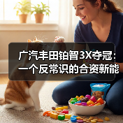 广汽丰田铂智3X夺冠：一个反常识的合资新能源样本(图3)