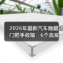 2026年最新汽车隐藏式门把手故障：6个