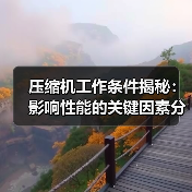 压缩机工作条件揭秘:影响性能的关键因素分析(图3) 压缩机工作条件揭秘:影响性能的关键因素分析(图3)