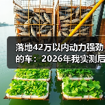 落地42万以内动力强劲的车：2026年我