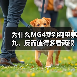 为什么MG4卖到纯电第九,反而值得多看两眼?(图2) 为什么MG4卖到纯电第九,反而值得多看两眼?(图2)