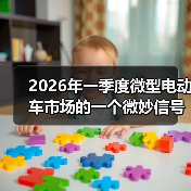 2026年一季度微型电动车市场的一个微妙信号(图4)