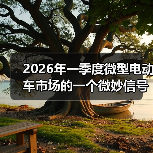 2026年一季度微型电动车市场的一个微妙信号(图2)