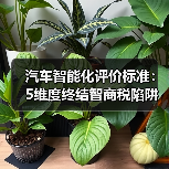 汽车智能化评价标准:5维度终结智商税陷阱(图2) 汽车智能化评价标准:5维度终结智商税陷阱(图2)