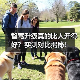 智驾升级真的比人开得好？实测对比揭秘！(图3)