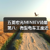 五菱宏光MINIEV销量第八:微型电车王座还能守多久?(图4) 五菱宏光MINIEV销量第八:微型电车王座还能守多久?(图4)