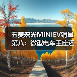 五菱宏光MINIEV销量第八:微型电车王座还能守多久?(图3) 五菱宏光MINIEV销量第八:微型电车王座还能守多久?(图3)