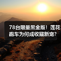 78台限量黑金版！莲花跑车为何成收藏新宠？(图2)