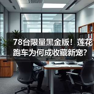 78台限量黑金版！莲花跑车为何成收藏新宠？(图4)