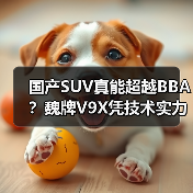 国产SUV真能超越BBA？魏牌V9X凭技术实力破局(图2)