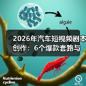 2026年汽车短视频剧本创作:6个爆款套路与可复制的实战模板(图2) 2026年汽车短视频剧本创作:6个爆款套路与可复制的实战模板(图2)
