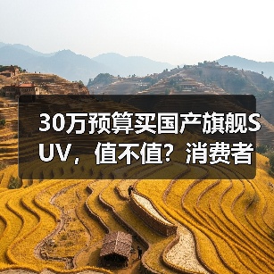 30万预算买国产旗舰SUV,值不值?消费者真实反馈(图4) 30万预算买国产旗舰SUV,值不值?消费者真实反馈(图4)
